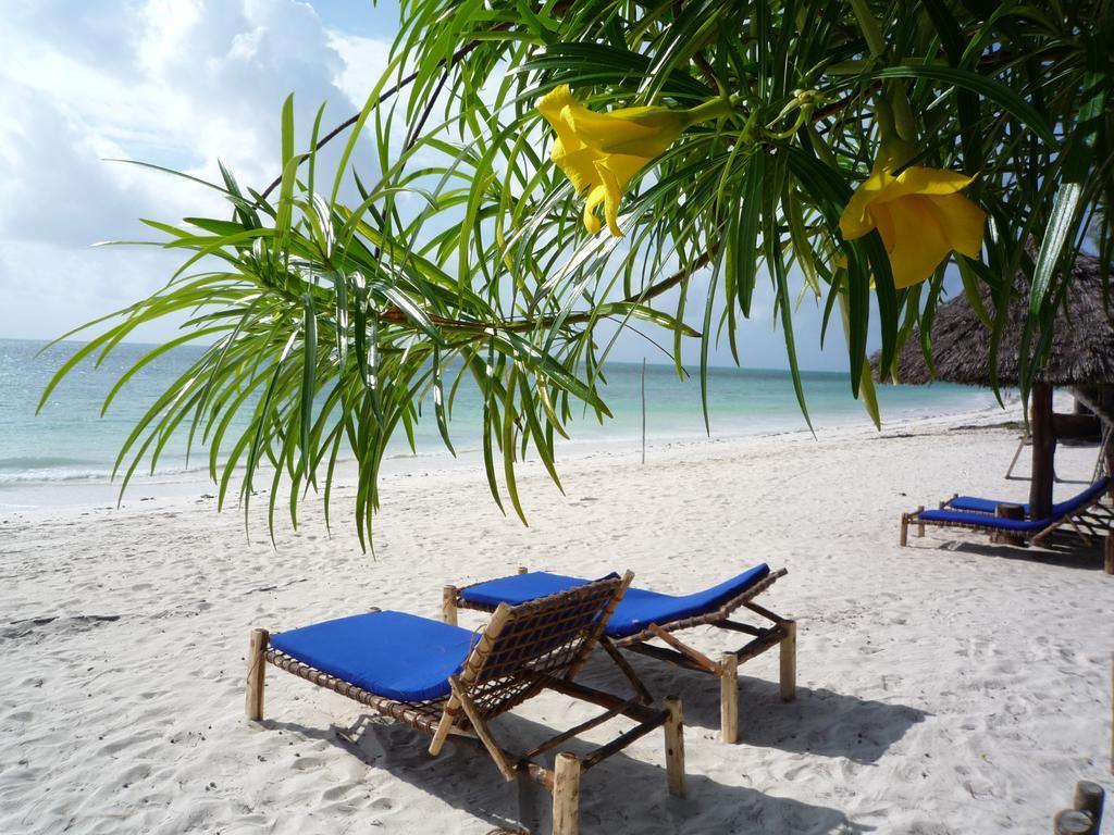Economy hotel Oasis Jambiani (Zanzibar)