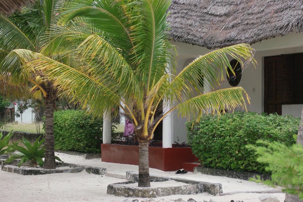 Oasis Jambiani (Zanzibar)