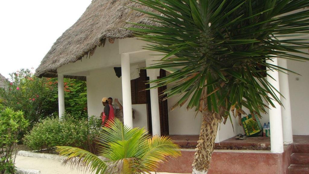 Oasis Economy hotel Jambiani (Zanzibar)