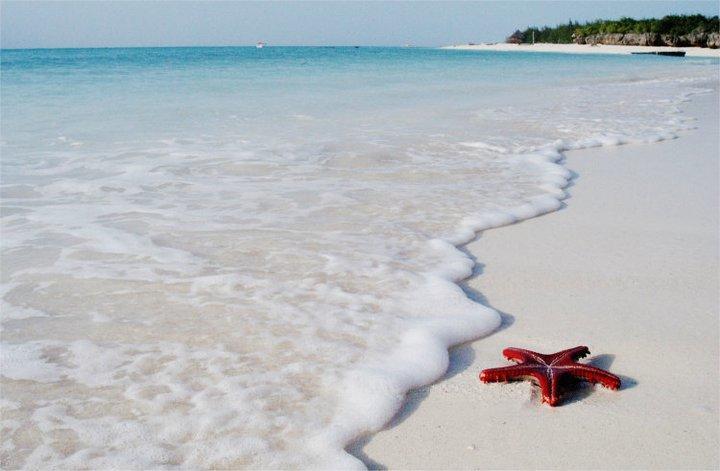 Oasis Hotel ekonomiczny Jambiani (Zanzibar)